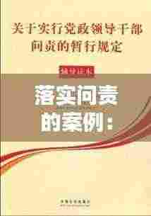 落实问责的案例:问责制度落实要求