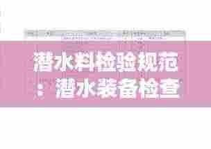 潜水料检验规范：潜水装备检查 