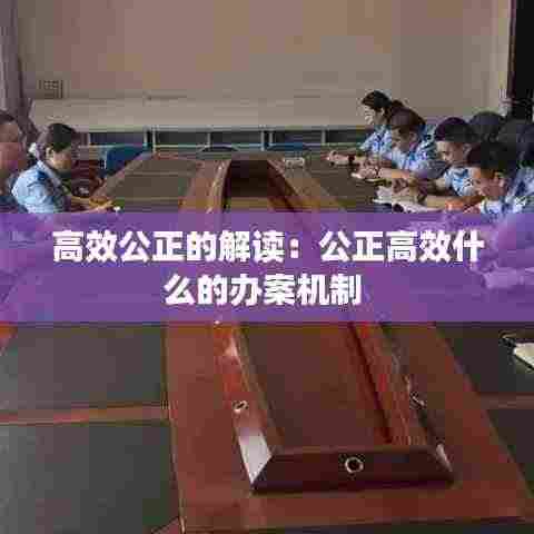 高效公正的解读:公正高效什么的办案机制