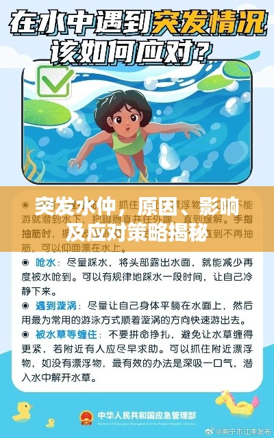 突发水仲，原因、影响及应对策略揭秘