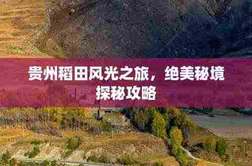 贵州稻田风光之旅,绝美秘境探秘攻略