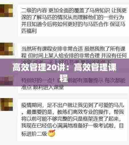 高效管理20讲：高效管理课程 