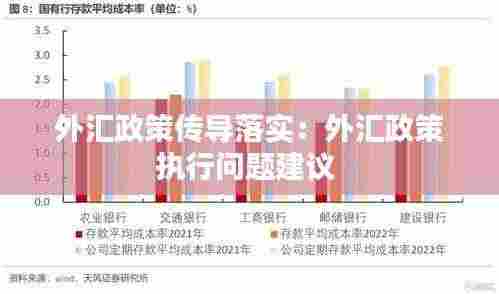 外汇政策传导落实:外汇政策执行问题建议
