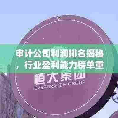 审计公司利润排名揭秘,行业盈利能力榜单重磅出炉!
