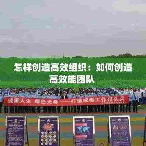 怎样创造高效组织:如何创造高效能团队