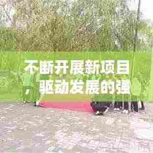 不断开展新项目，驱动发展的强大引擎力量