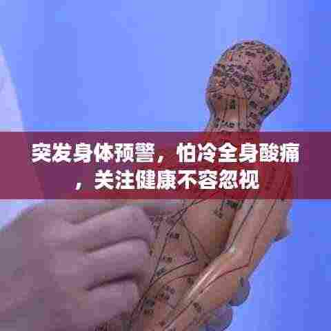 突发身体预警,怕冷全身酸痛,关注健康不容忽视