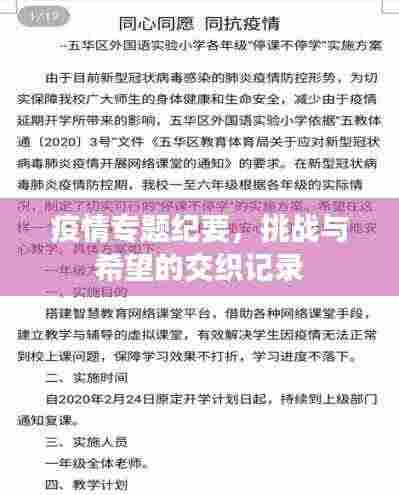 疫情专题纪要,挑战与希望的交织记录