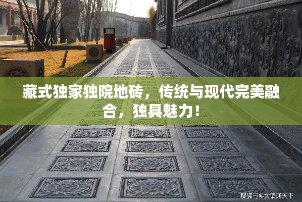 藏式独家独院地砖，传统与现代完美融合，独具魅力！