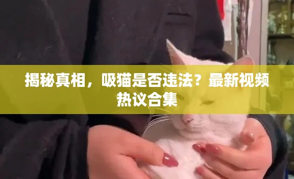 揭秘真相,吸猫是否违法?最新视频热议合集
