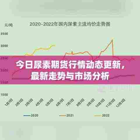 今日尿素期货行情动态更新，最新走势与市场分析