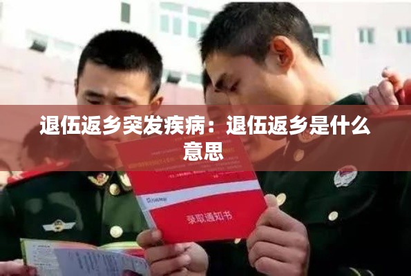 退伍返乡突发疾病：退伍返乡是什么意思 