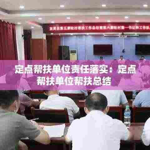 定点帮扶单位责任落实:定点帮扶单位帮扶总结