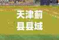 天津蓟县县域发展新动态，头条新闻抢先看