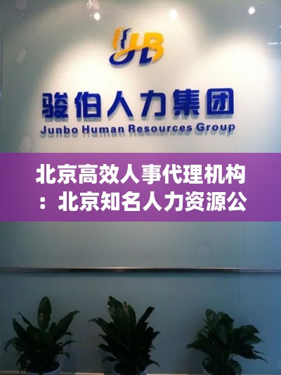 北京高效人事代理机构:北京知名人力资源公司