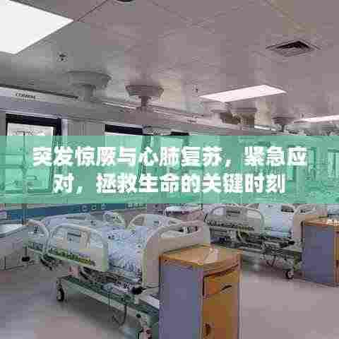 突发惊厥与心肺复苏,紧急应对,拯救生命的关键时刻