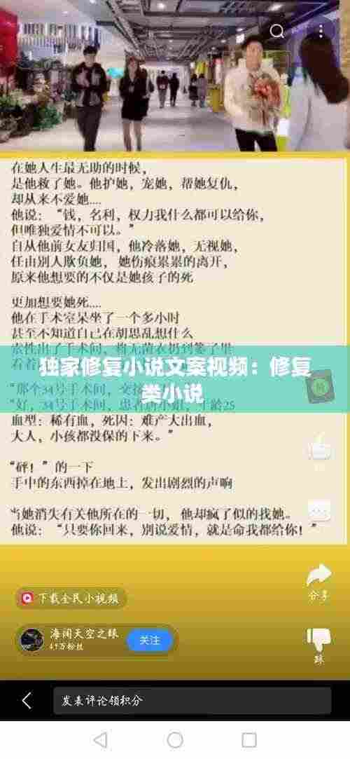 独家修复小说文案视频：修复类小说 