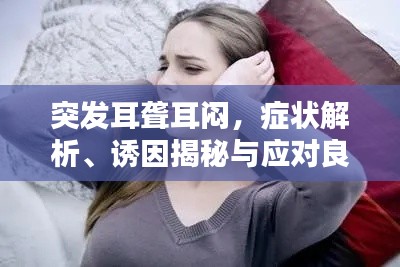 突发耳聋耳闷,症状解析、诱因揭秘与应对良方