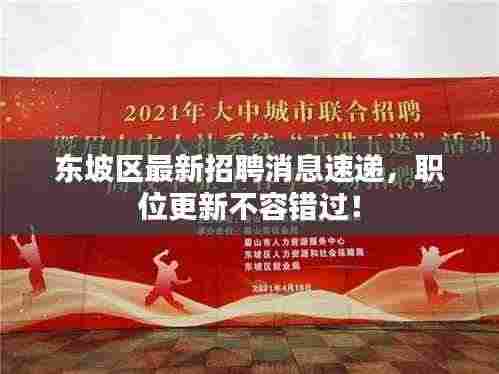 东坡区最新招聘消息速递，职位更新不容错过！