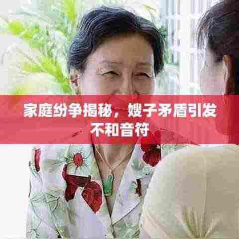 家庭纷争揭秘，嫂子矛盾引发不和音符