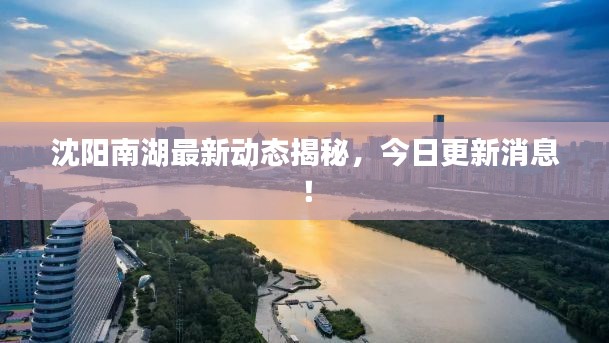 沈阳南湖最新动态揭秘,今日更新消息!