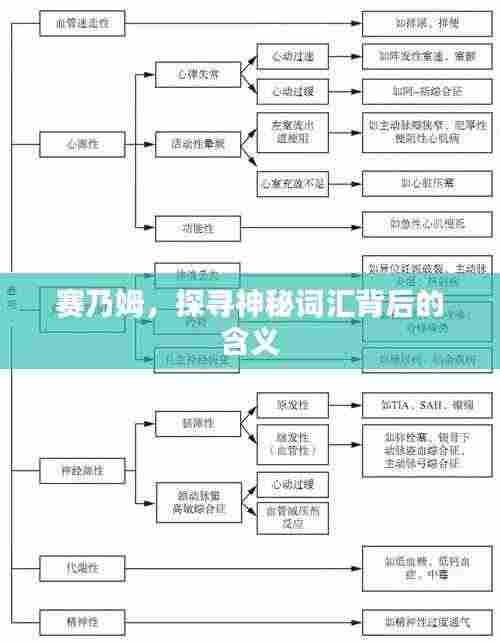 赛乃姆,探寻神秘词汇背后的含义
