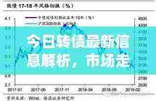 今日转债最新信息解析，市场走势揭秘与投资者应对策略建议