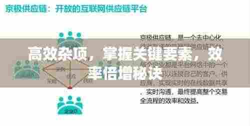 高效杂项,掌握关键要素,效率倍增秘诀