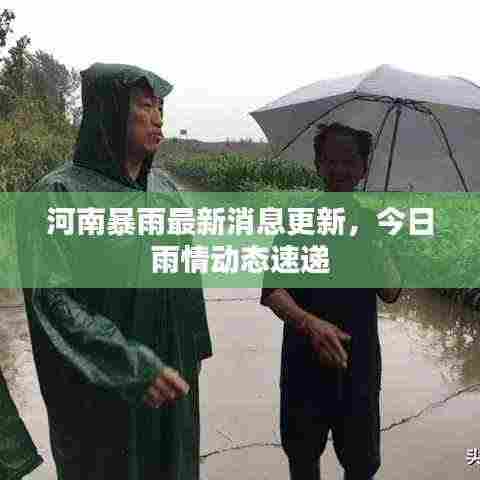 河南暴雨最新消息更新，今日雨情动态速递