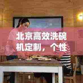 北京高效洗碗机定制,个性化解决方案满足您的一切需求
