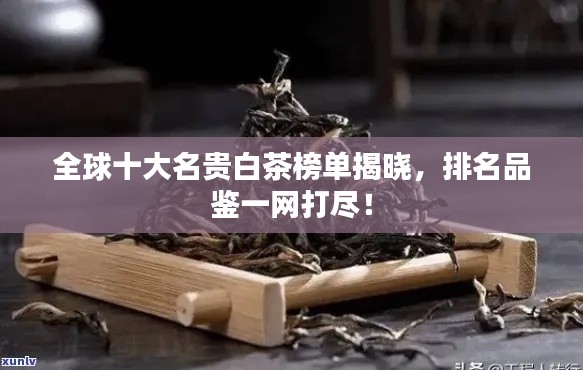 全球十大名贵白茶榜单揭晓,排名品鉴一网打尽!