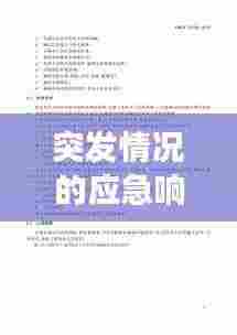 突发情况的应急响应与管理机制,高效应对危机,保障安全稳定
