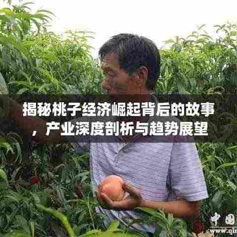 揭秘桃子经济崛起背后的故事，产业深度剖析与趋势展望