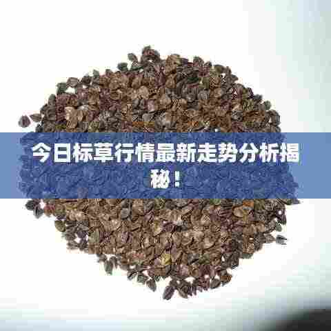 今日标草行情最新走势分析揭秘!