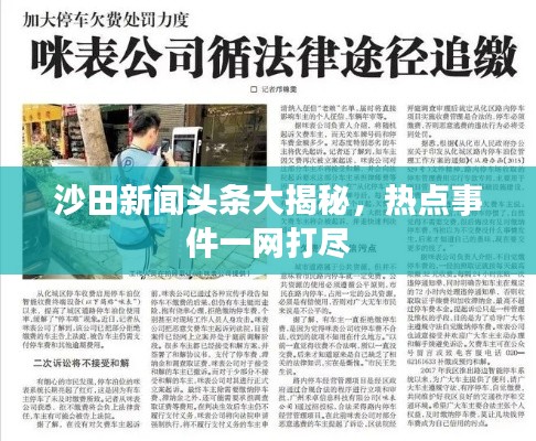 沙田新闻头条大揭秘,热点事件一网打尽