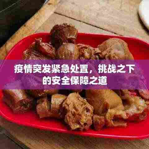 疫情突发紧急处置,挑战之下的安全保障之道