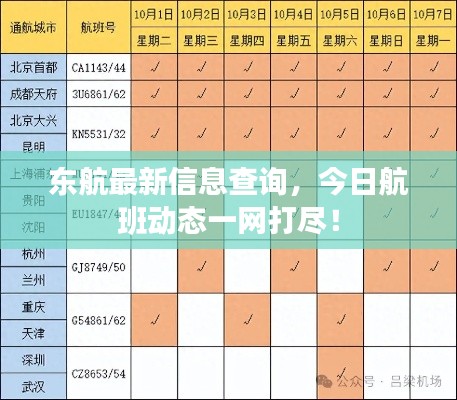 东航最新信息查询,今日航班动态一网打尽!