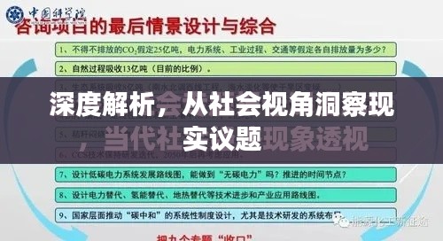 深度解析，从社会视角洞察现实议题