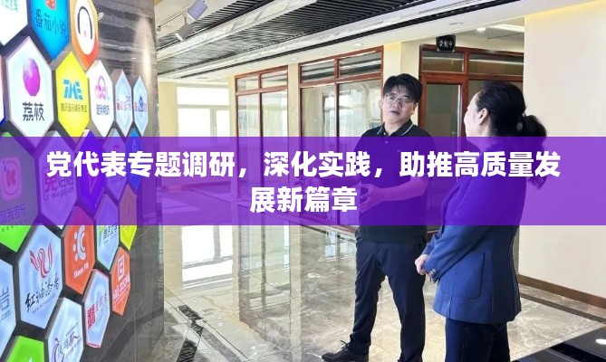 党代表专题调研,深化实践,助推高质量发展新篇章