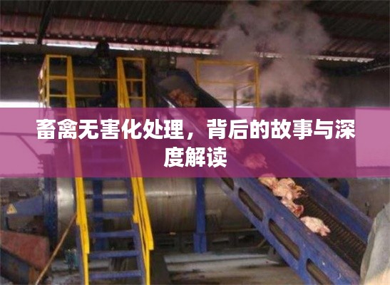 畜禽无害化处理，背后的故事与深度解读