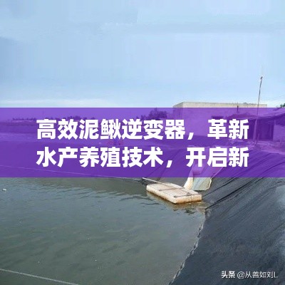 张灯结彩 第3页