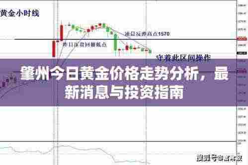 肇州今日黄金价格走势分析，最新消息与投资指南
