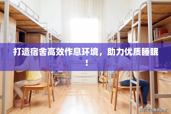 打造宿舍高效作息环境，助力优质睡眠！