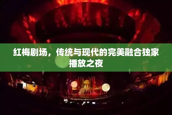红梅剧场,传统与现代的完美融合独家播放之夜