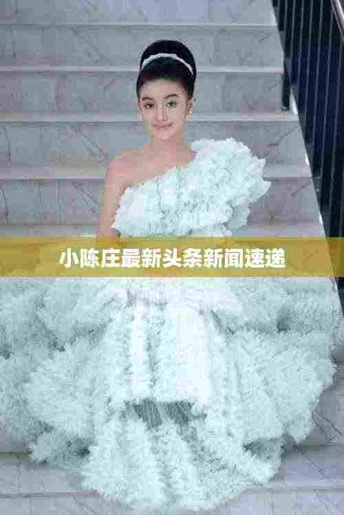 小陈庄最新头条新闻速递