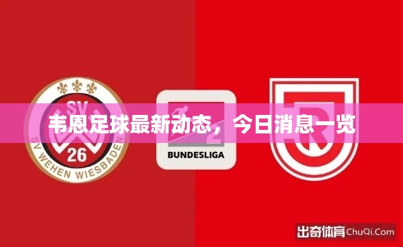 韦恩足球最新动态,今日消息一览