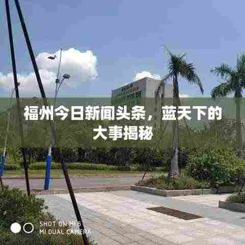 福州今日新闻头条，蓝天下的大事揭秘