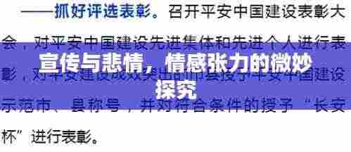 宣传与悲情，情感张力的微妙探究