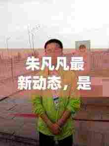 朱凡凡最新动态,是否被逮捕?深度解读最新消息