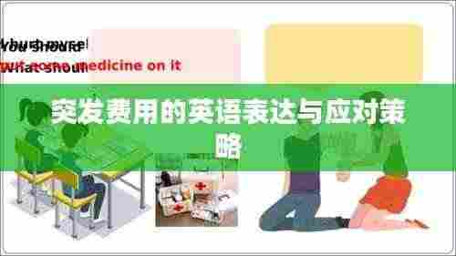 突发费用的英语表达与应对策略